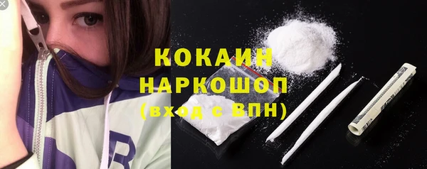 шишки Ладушкин