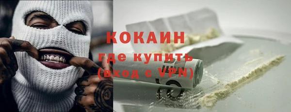 соль ск Кукмор