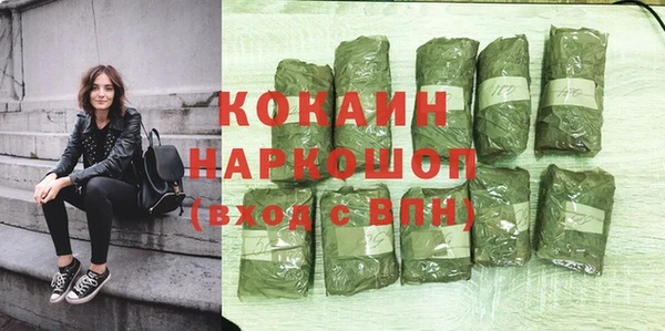 шишки Ладушкин