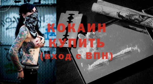 шишки Ладушкин