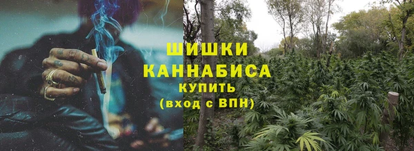 шишки Ладушкин