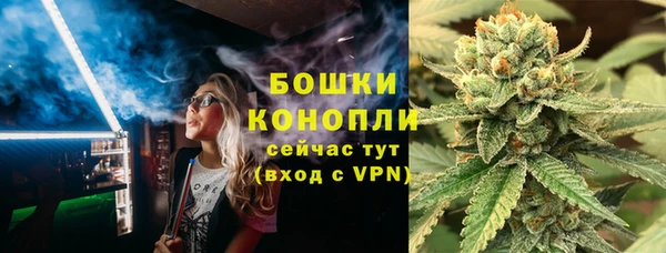 соль ск Кукмор