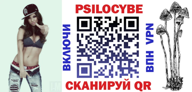 omg ссылки Курчалой darknet как зайти Псилоцибиновые грибы MAGIC MUSHROOMS