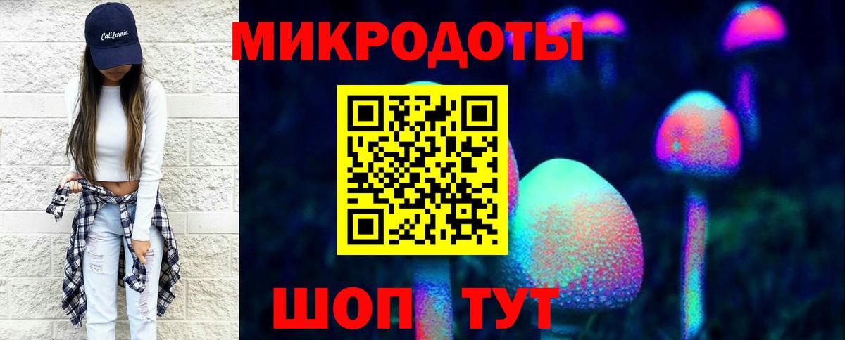 Галлюциногенные грибы GOLDEN TEACHER  где купить наркоту  Курчалой  Вход с VPN 